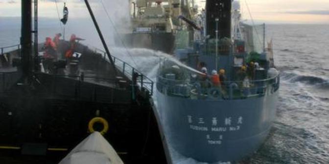 The Steve Irwin (L) clashed with a Japanese whaling vessel in the Southern Ocean on Monday. File photo / AP