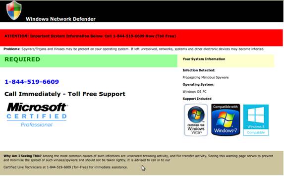 fake tech support site - virus warning page