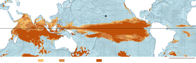 https://static01.nyt.com/newsgraphics/2016/04/04/coralmap/f591103f0be0ef1ccb31ad30ff65c5ecffe7e692/0404-for-CORALmap-720.png