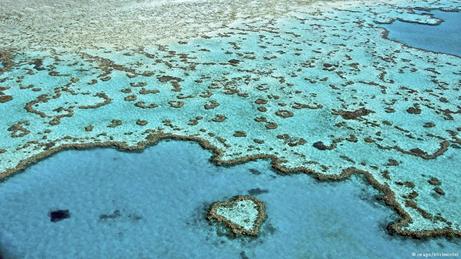 Australien Meeresschutzgebiet Great Barrier Reef Luftaufnahme