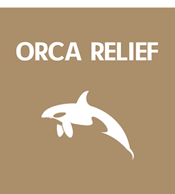 Orca Relief