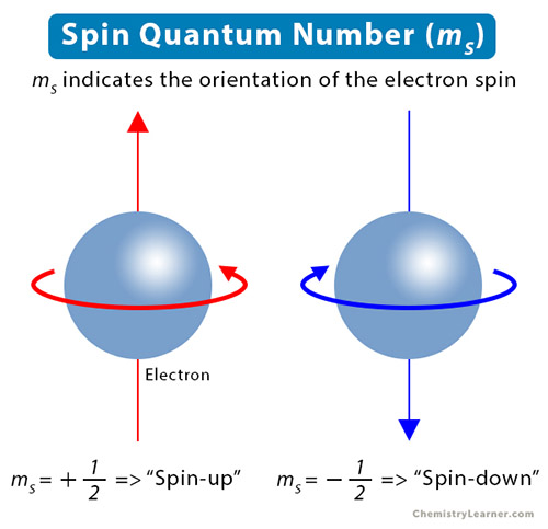 Spin Quantum Number: Definition, Significance, and Value